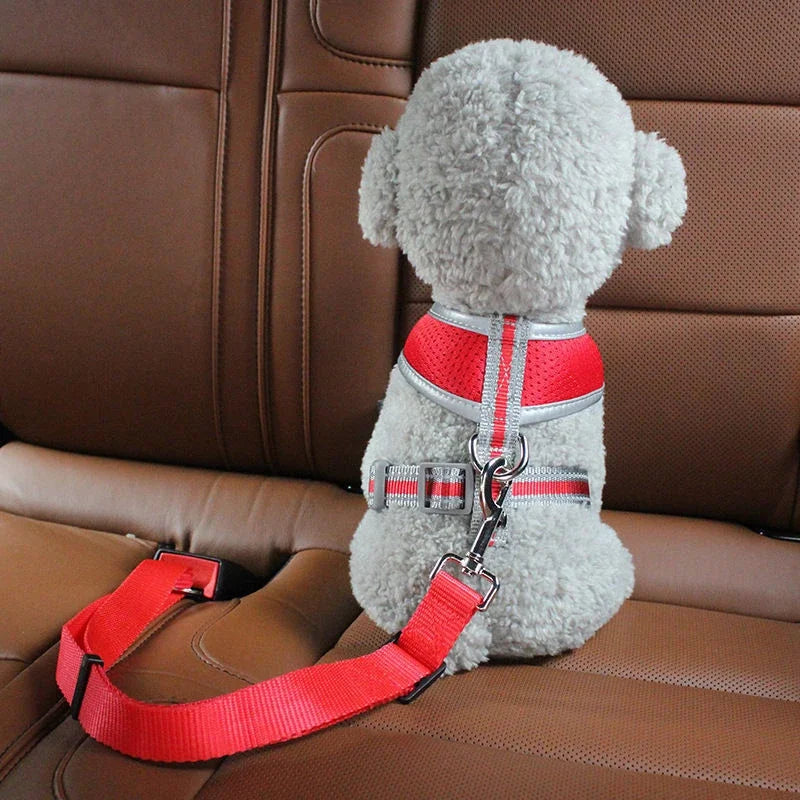 Pet Car Seat Safety Belt